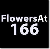 Flowers at 166