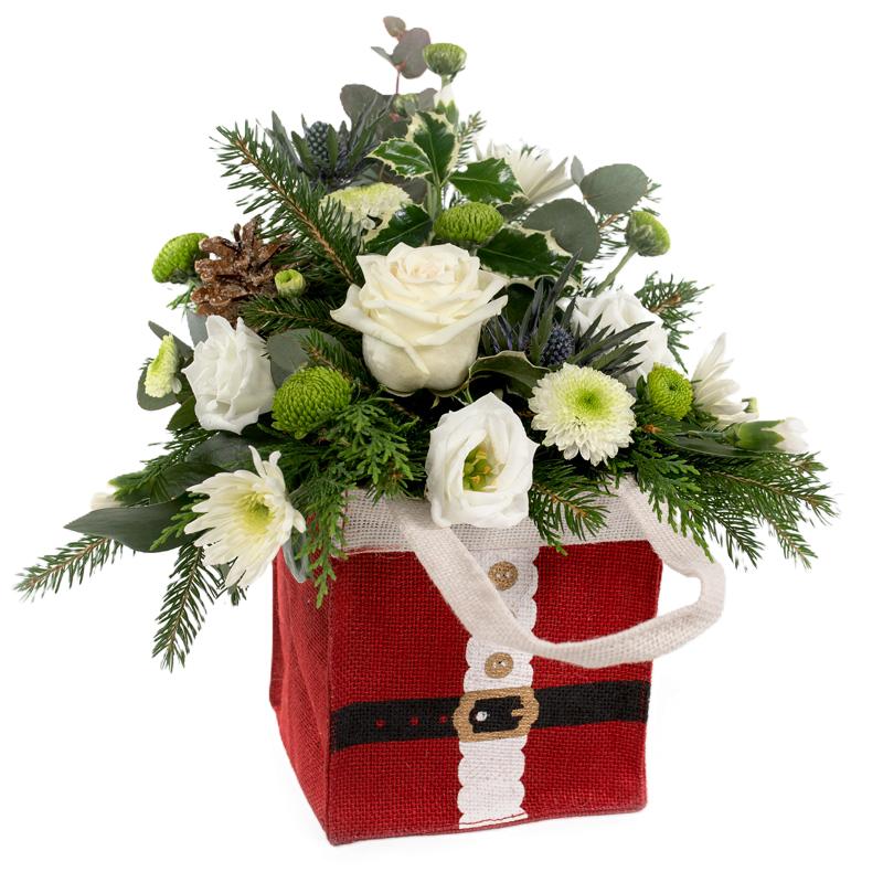Christmas Flowers
