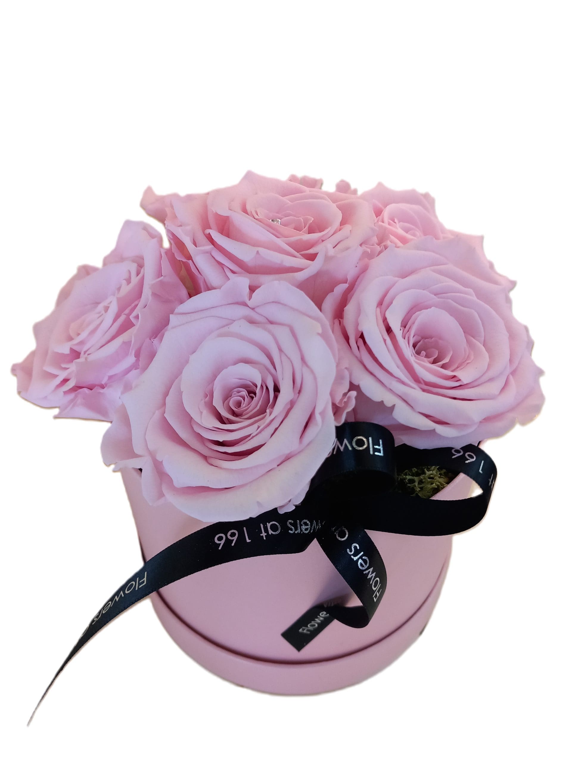 Preserved Pale Pink Roses In Hat Box