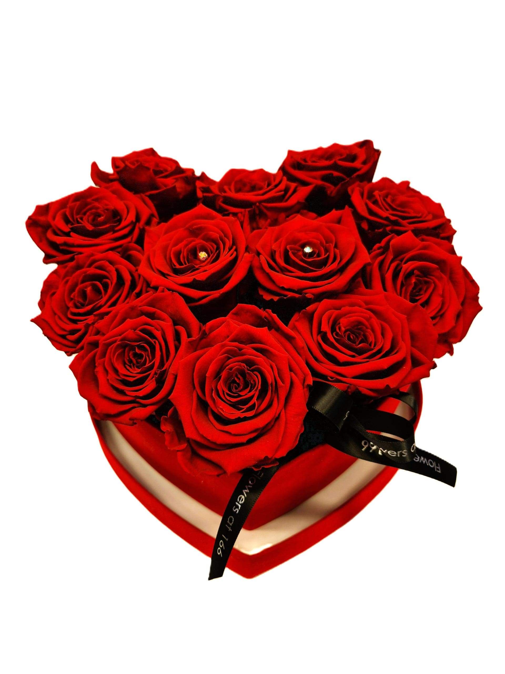 Valentines Day Gifts