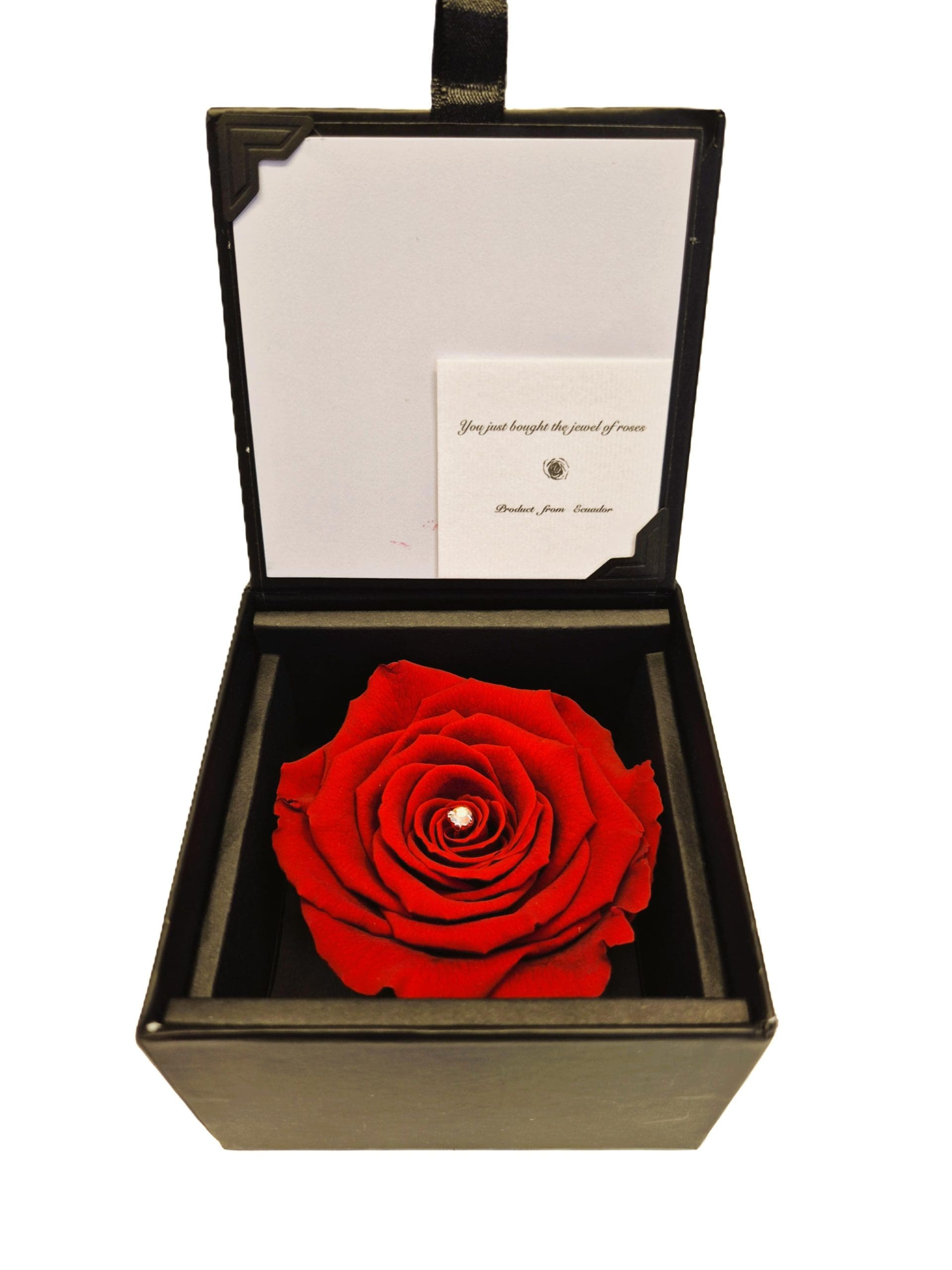 Preserved Roses