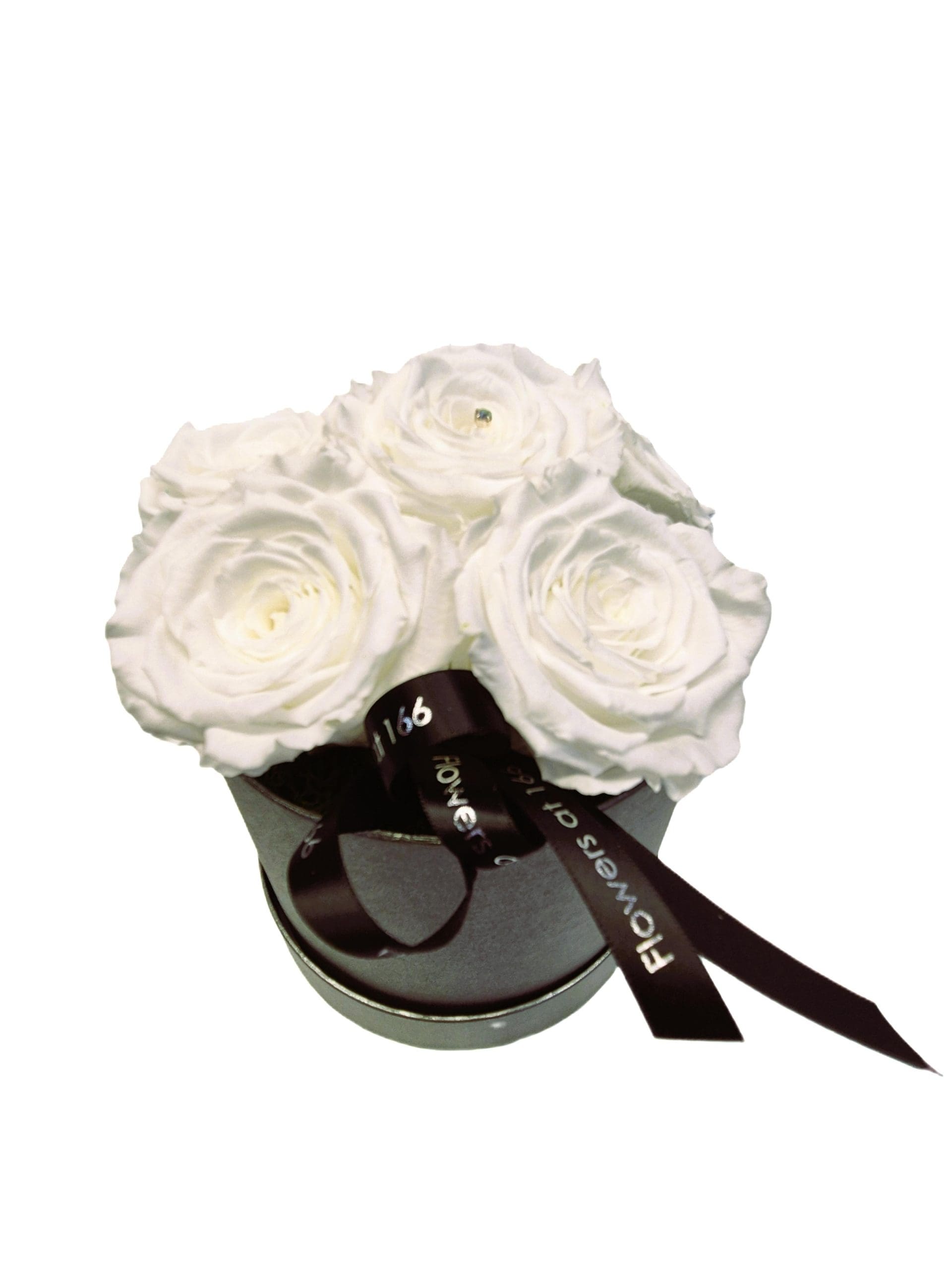 Preserved White Roses in a Hat Box