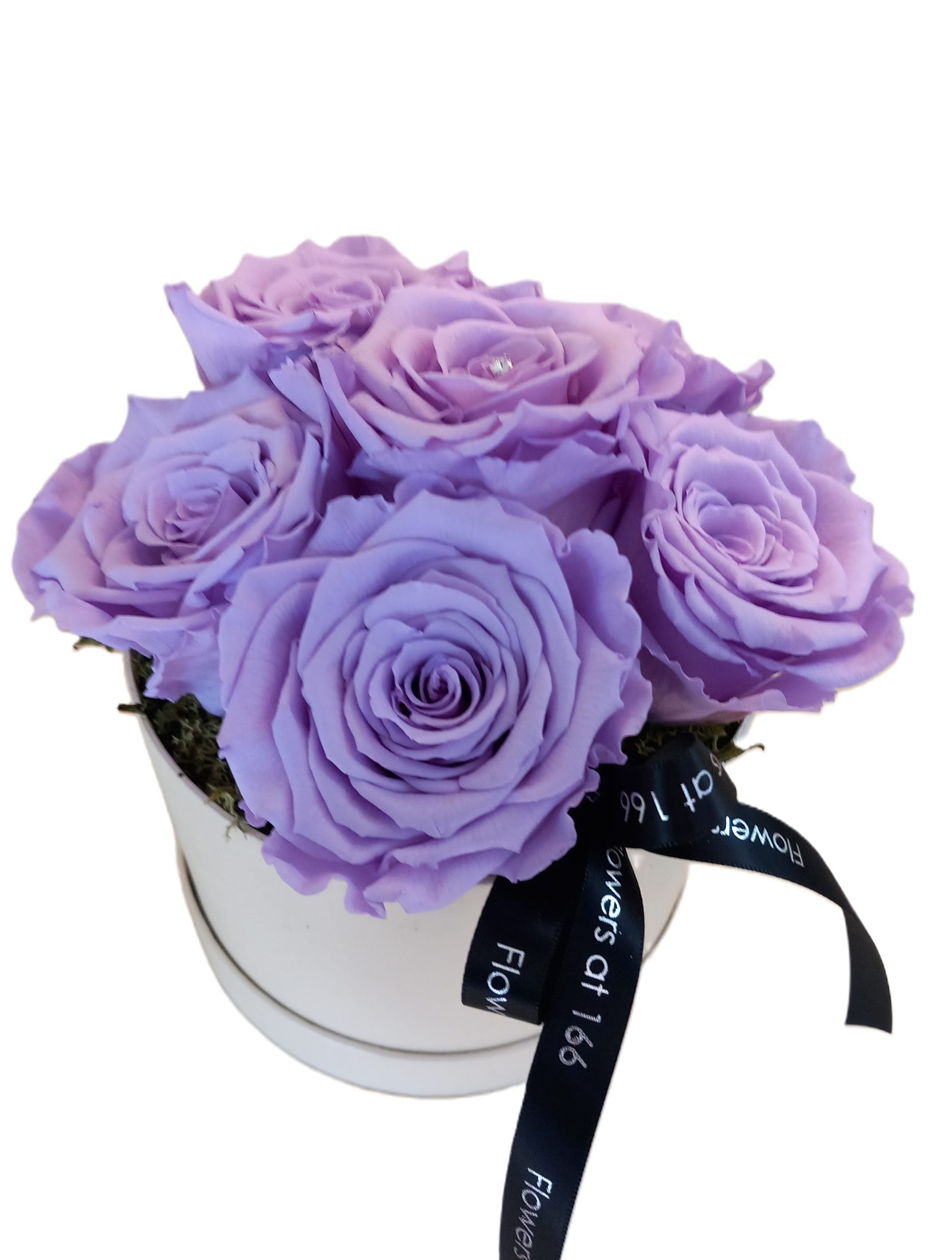 Preserved Pale Lilac Roses in a Hat Box